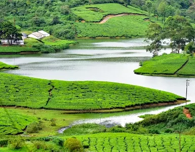 Kerala Backwater Tour