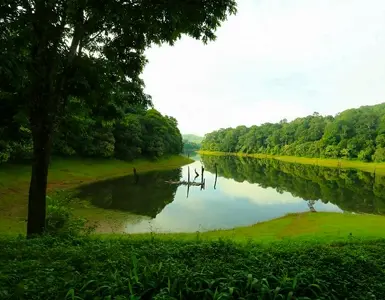 Kerala Backwater Tour