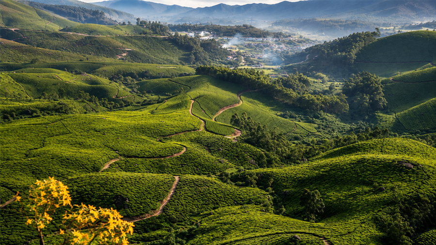 Munnar thekkady alleppey