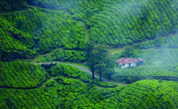 Munnar thekkady alleppey