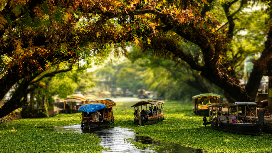 Munnar thekkady alleppey