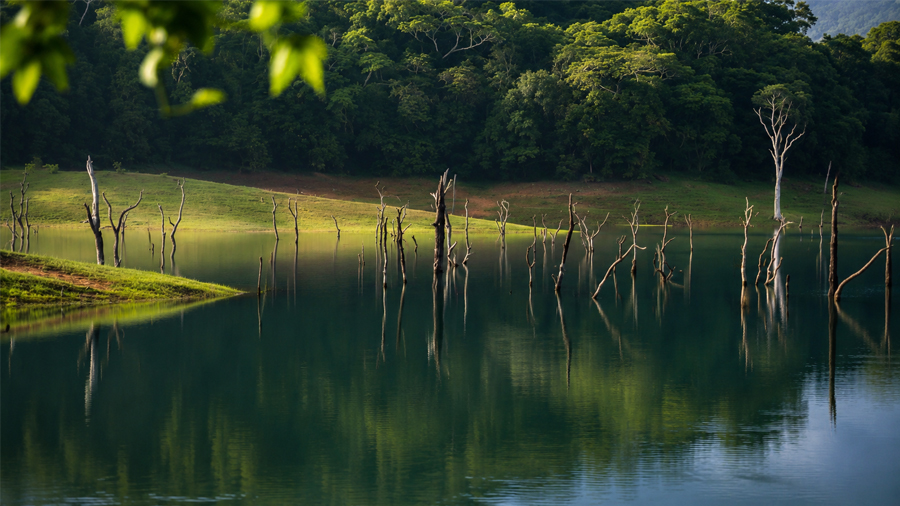 Munnar thekkady alleppey