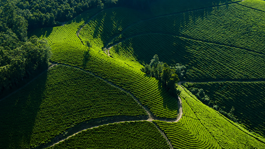 Munnar thekkady alleppey