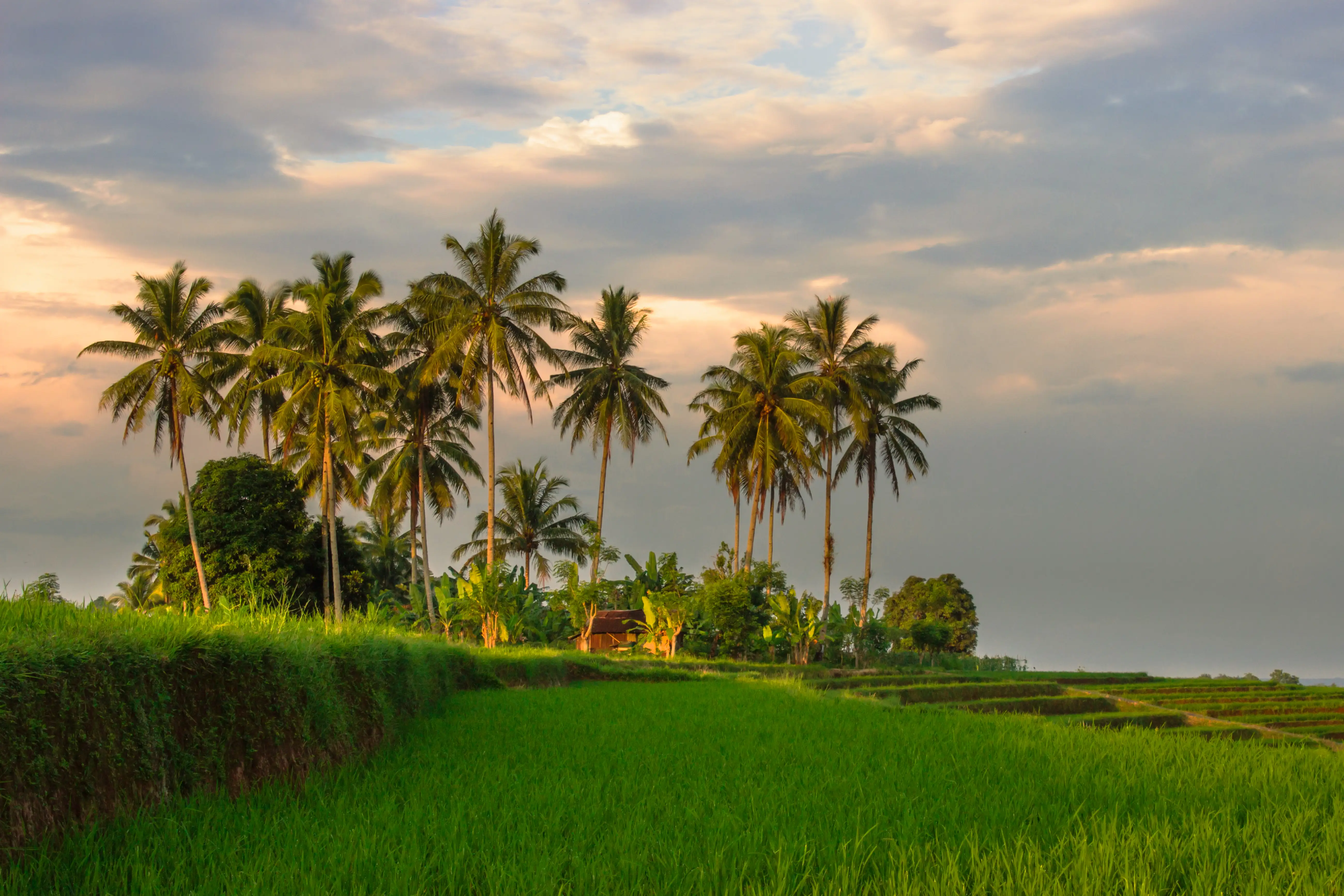Kerala bridge backwaters