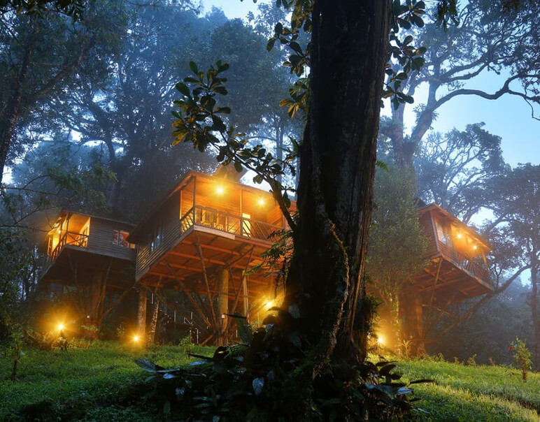 Munnar thekkady alleppey