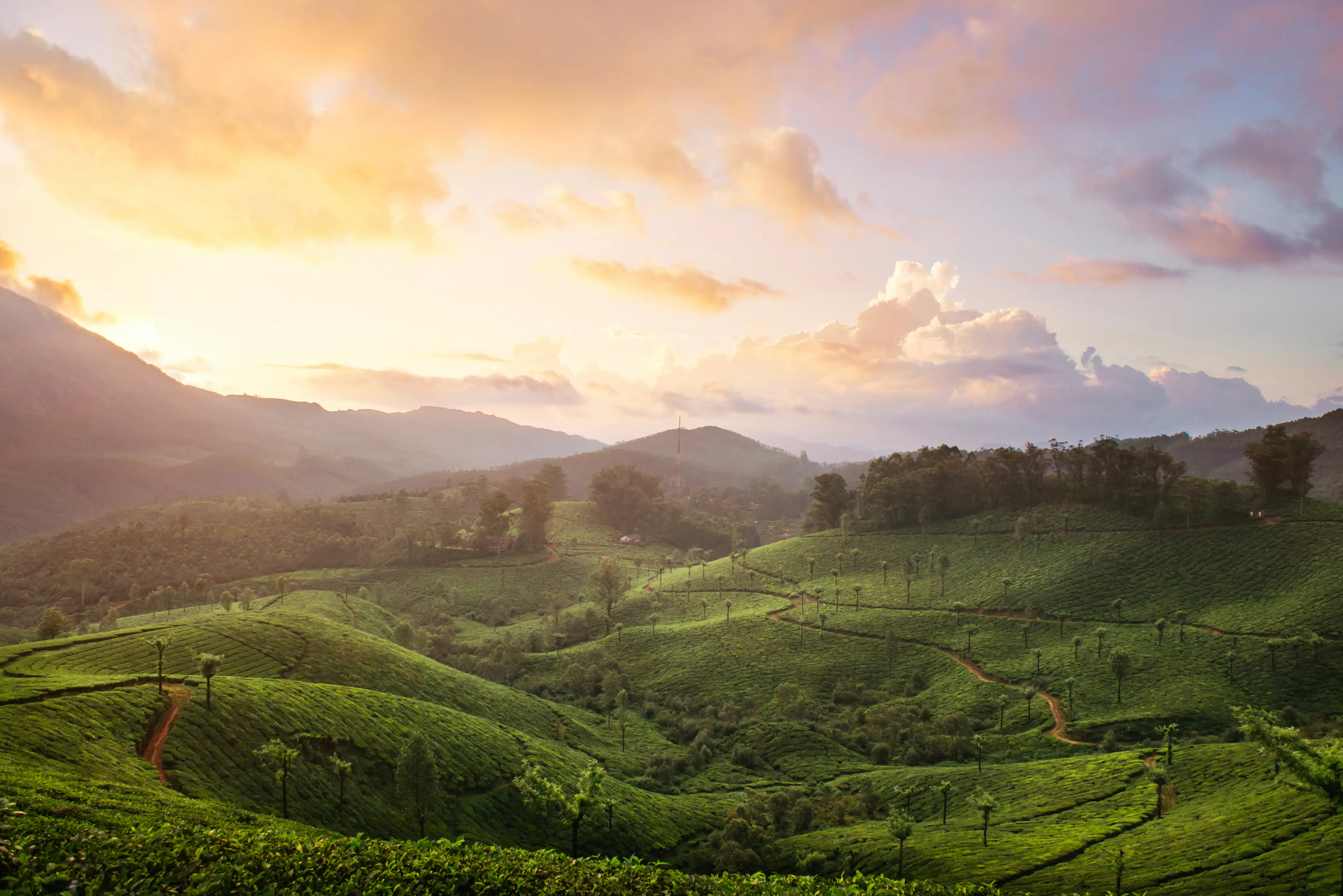 Munnar