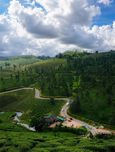 Kerala Honeymoon Image