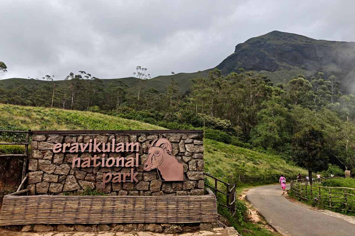 Discover the Elegance of Eravikulam National Park