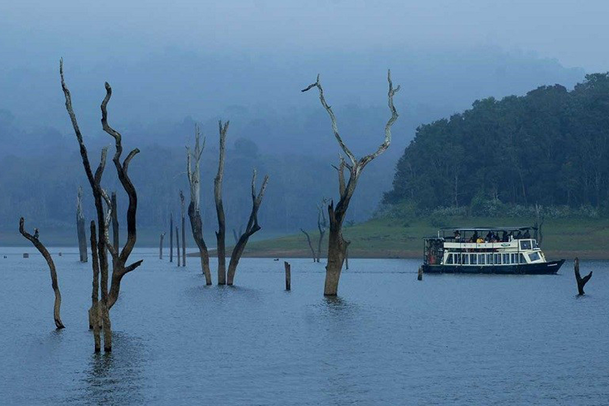 Unleash the wild soul in Periyar Tiger Reserve