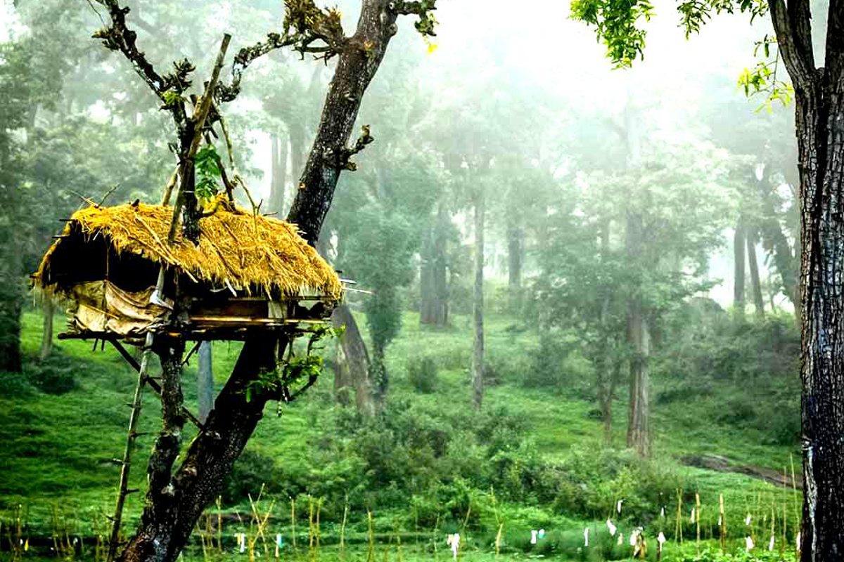 Wayanad Muthanga Wildlife Sanctuary