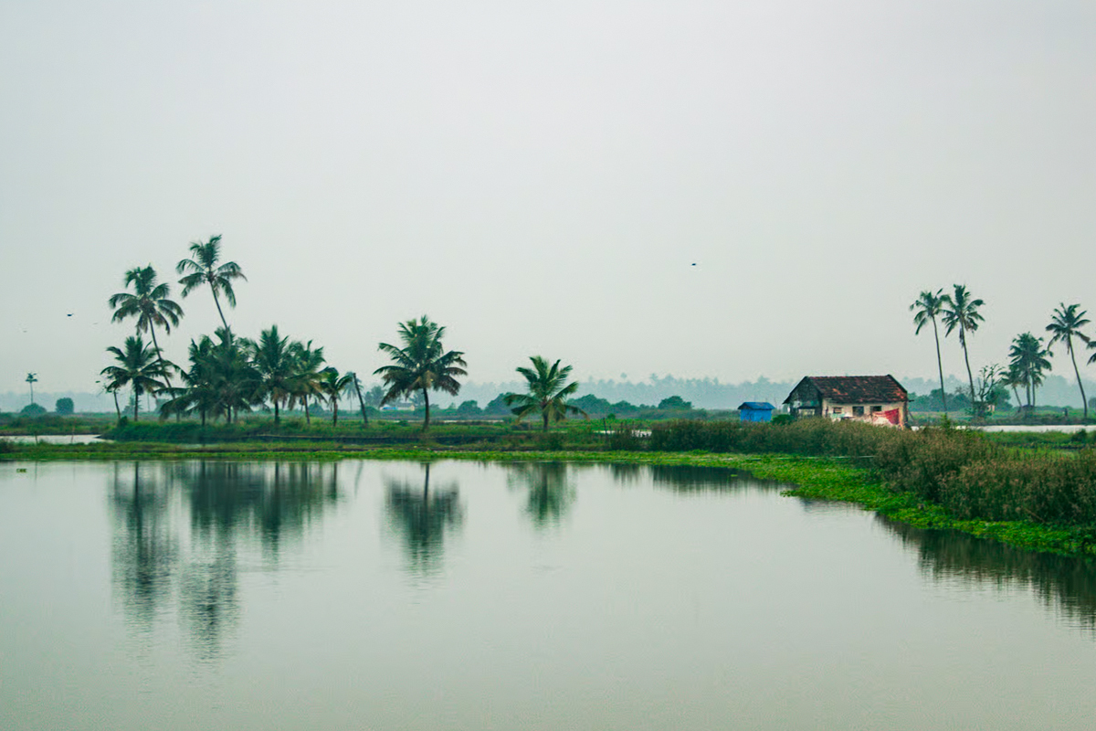 Discover the water sports and outdoor adventures in Kadamakudy