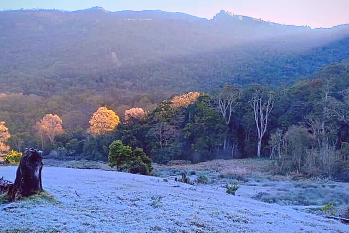 Why Winter is the Best Time to Visit Munnar