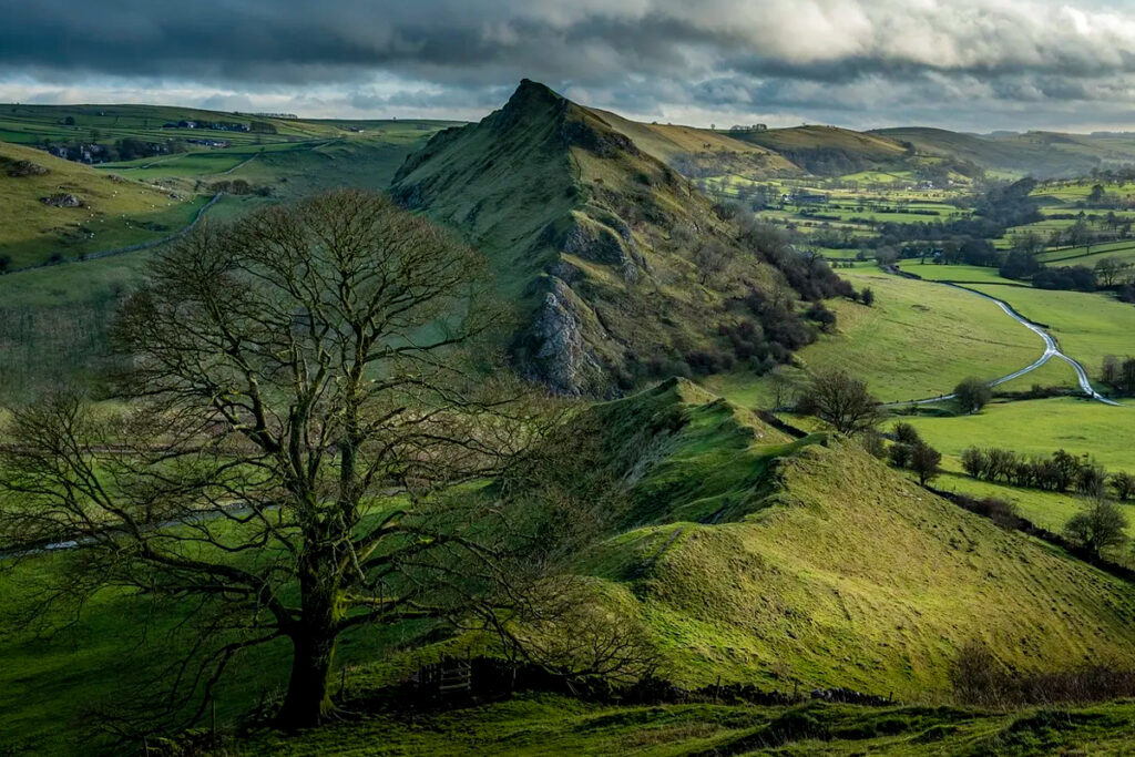 What’s hiding in the mists? Discover the wildlife of Valparai with Dream Holidays