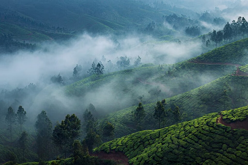 Family-Friendly Kerala Summer Vacation Ideas