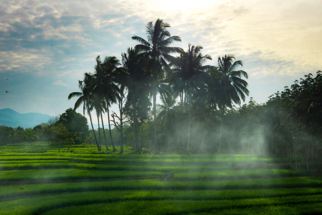 Kerala travel in summer 2026