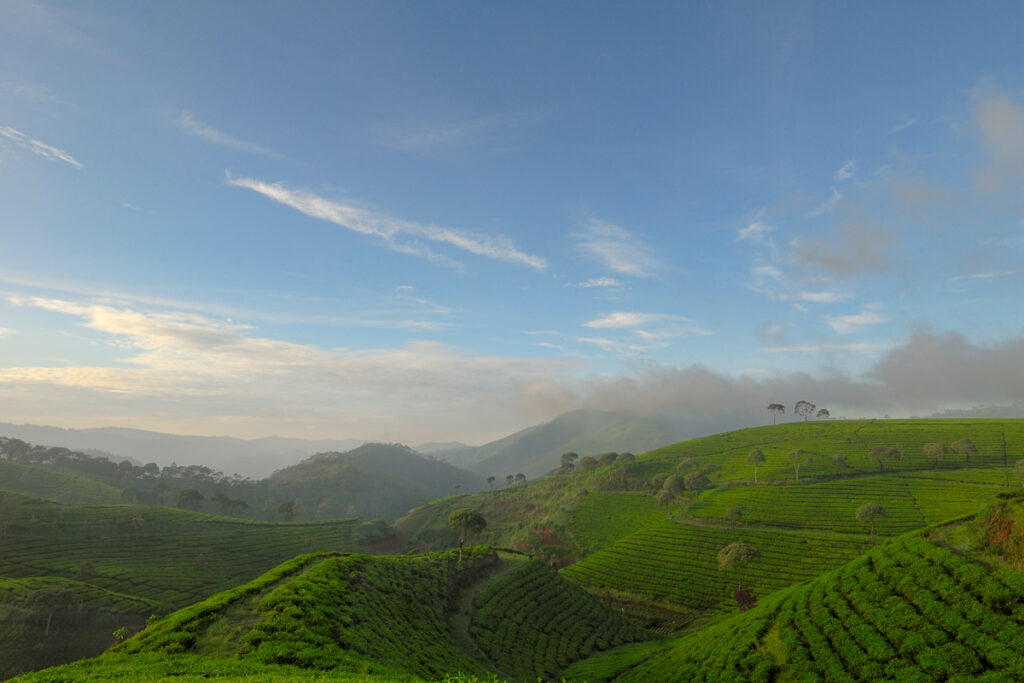 summer holiday destinations Kerala