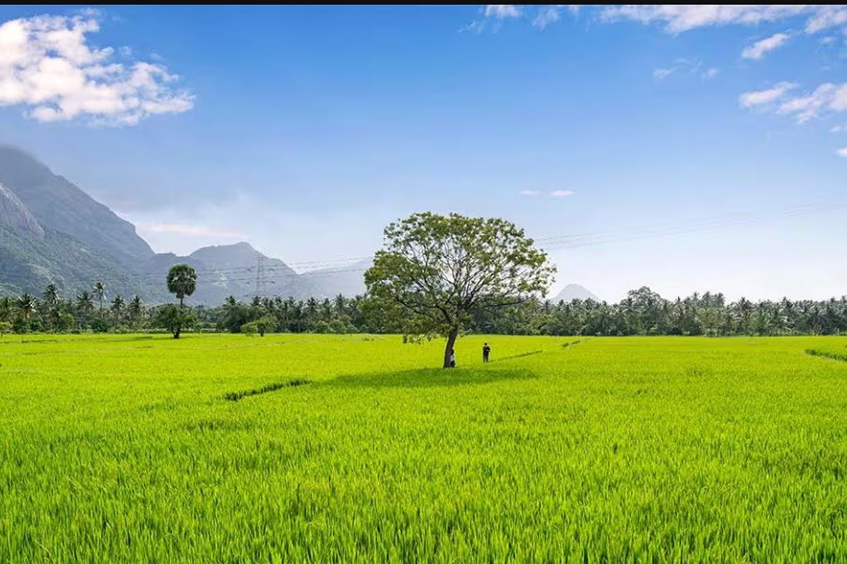 From Clockwork City to Coconut Shores: The Ultimate Delhi to Kerala Trip Guide